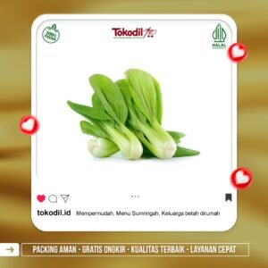 Pakcoy