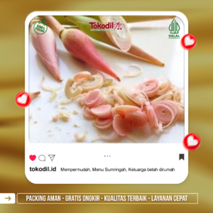 Kecombrang