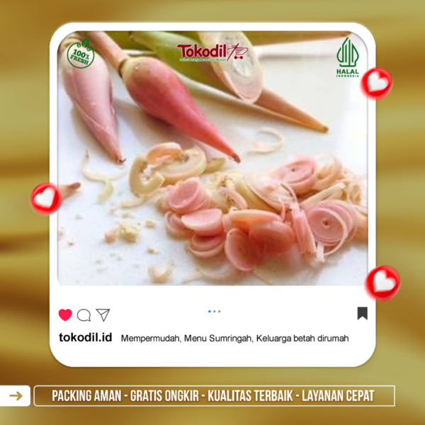 Kecombrang