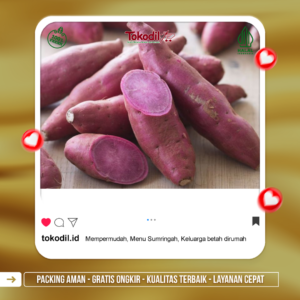 Ubi Ungu