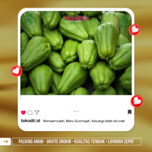 Labu Siam Mini