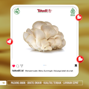 jamur Tiram