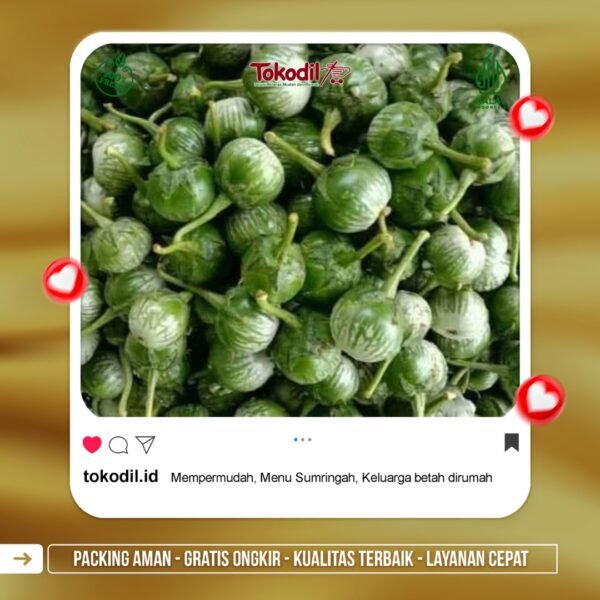 Terong