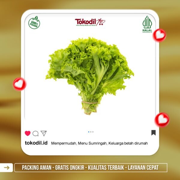 Daun Selada Kering