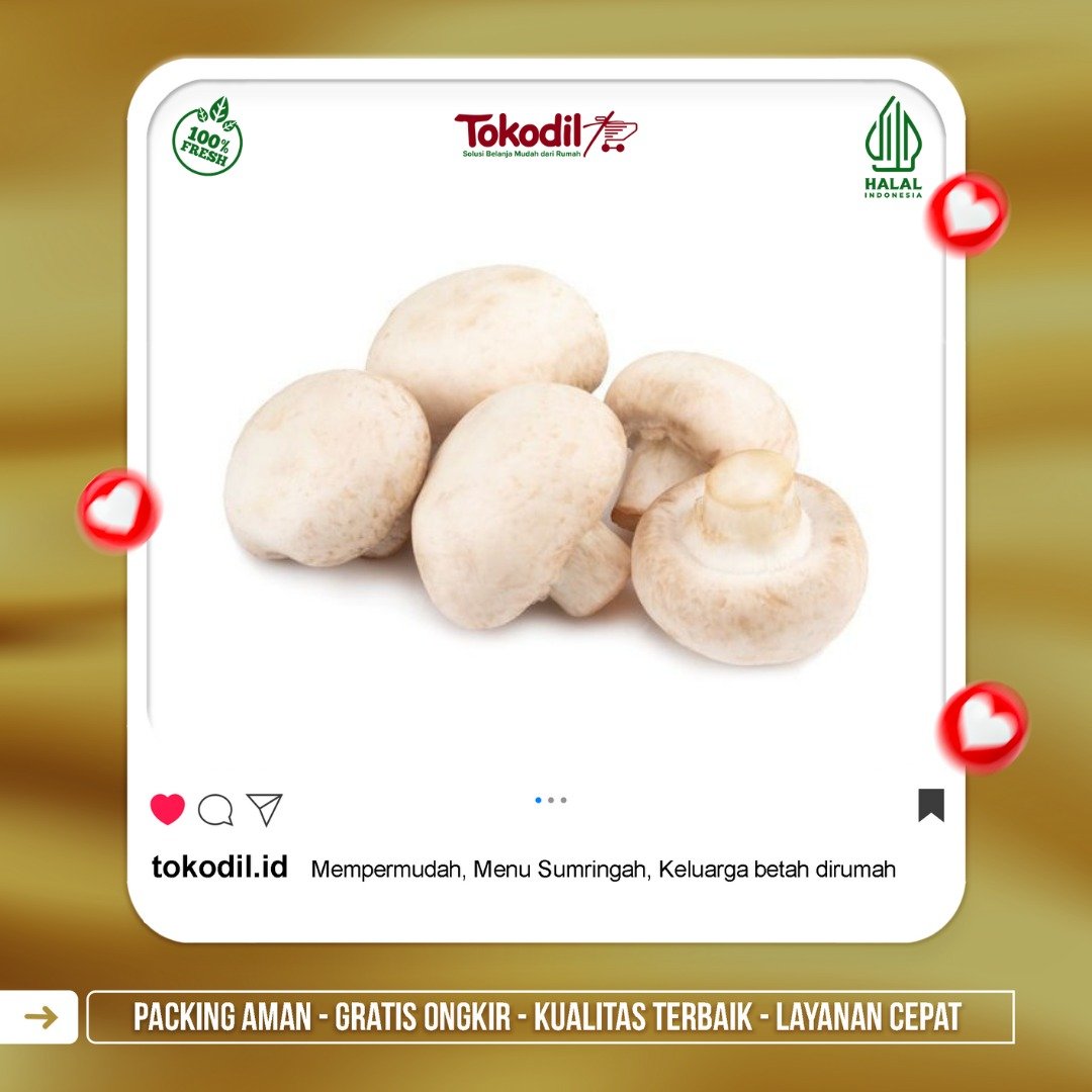 Jamur Kancing