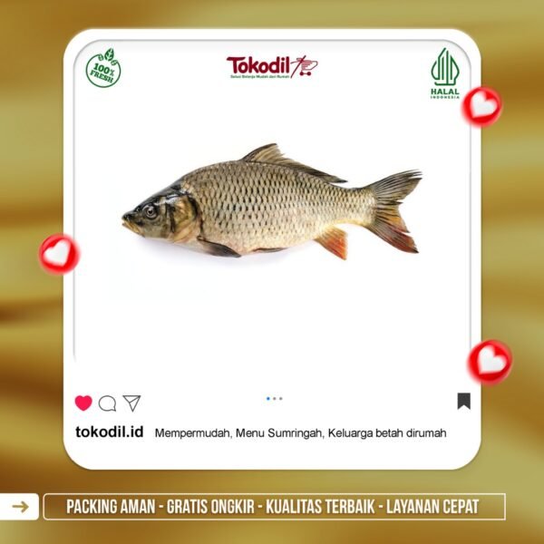 Ikan Mas