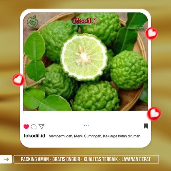 Jeruk Limau