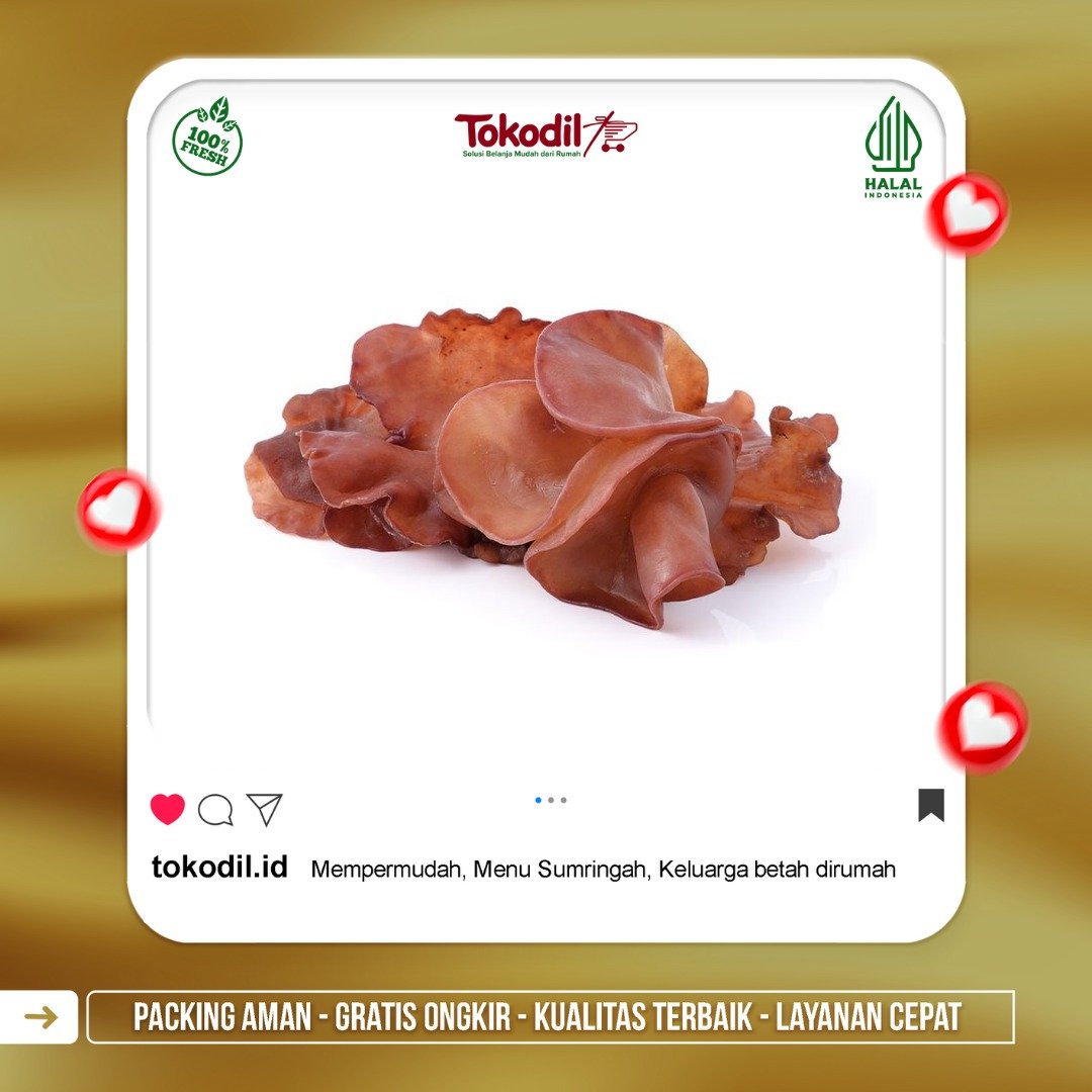 Jamur Kuping