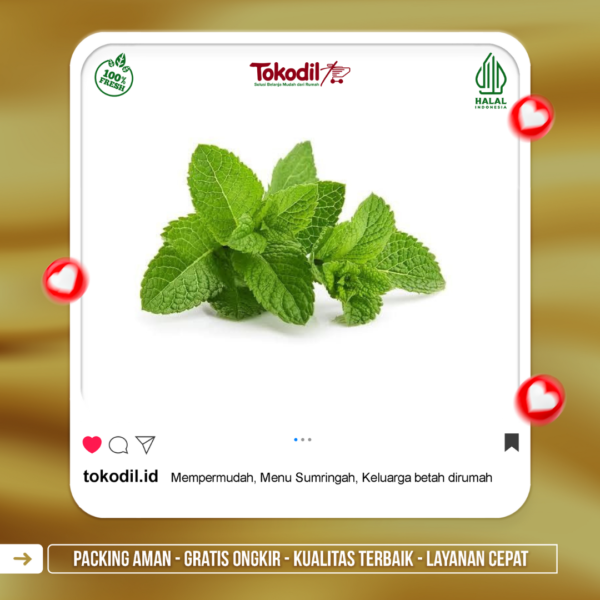 Daun Mint