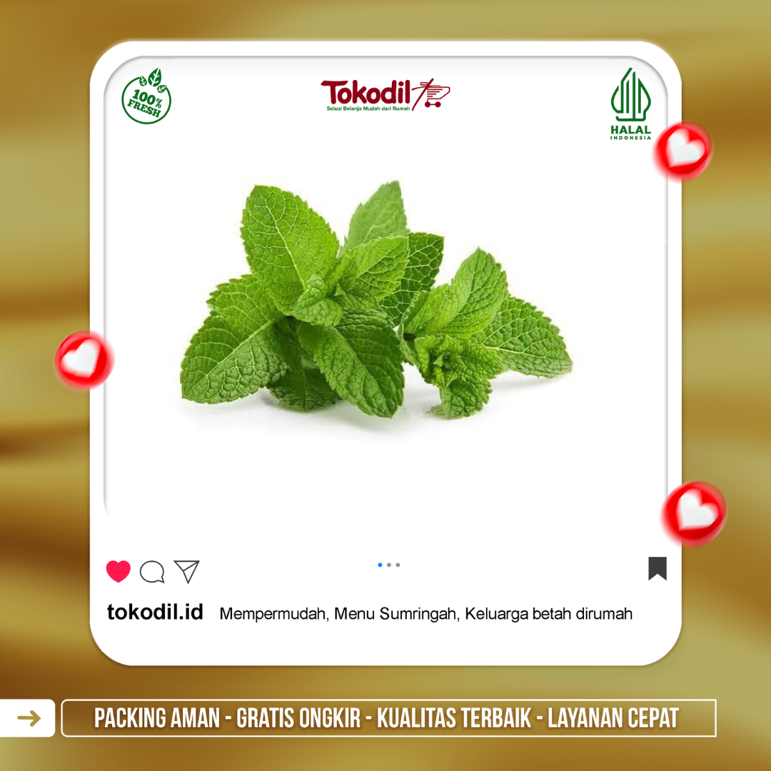 Daun Mint