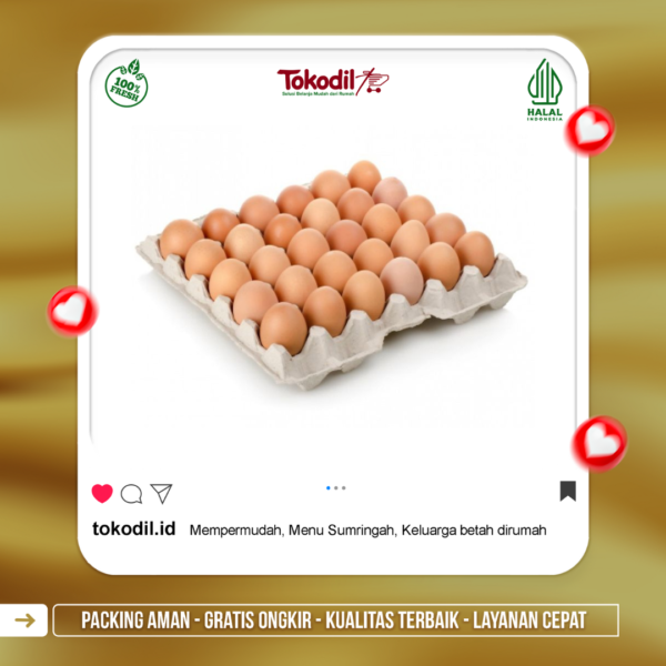 Telur Ayam