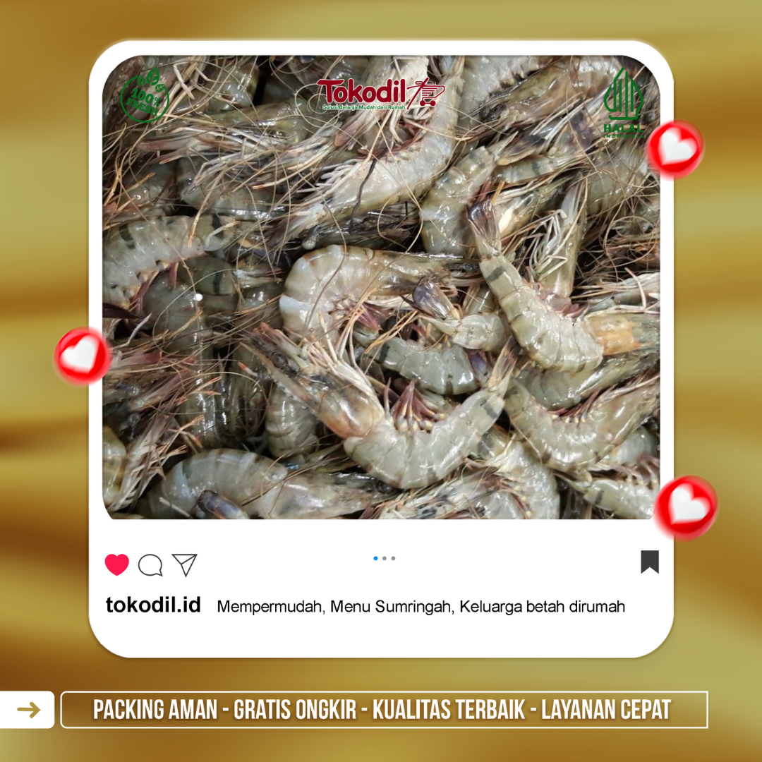 Udang