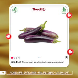 Terong Ungu