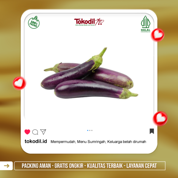 Terong Ungu