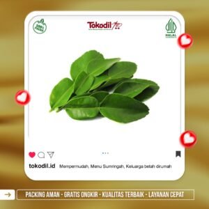 Daun Jeruk