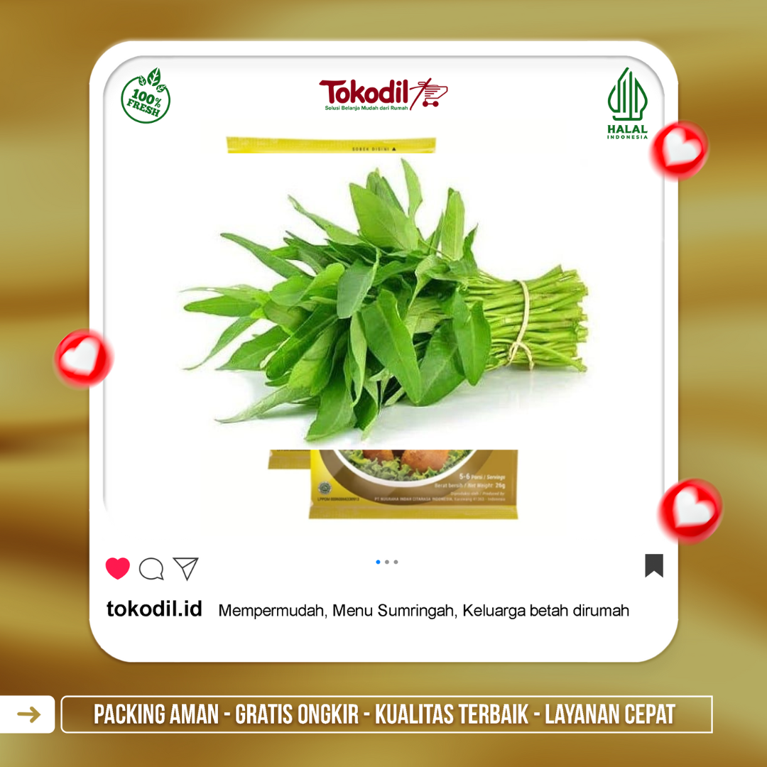Kangkung