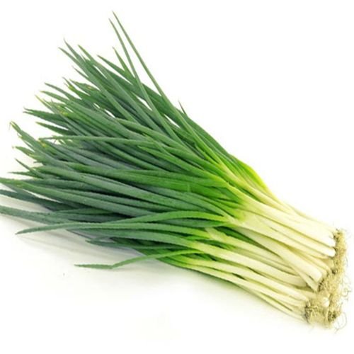 Bawang Daun