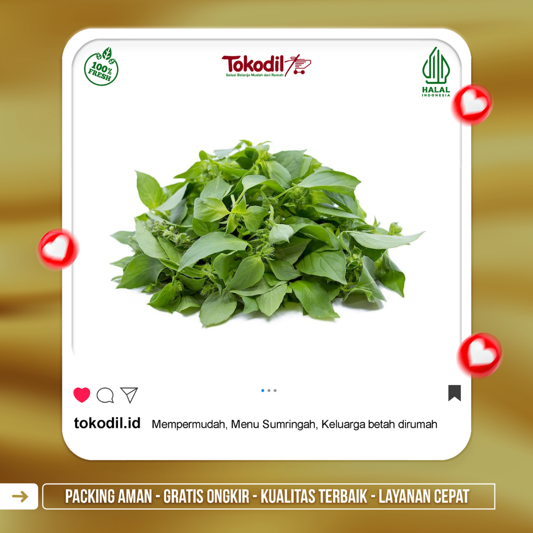 Daun Kemangi