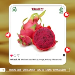 Buah Naga Merah