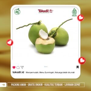 Kelapa Muda