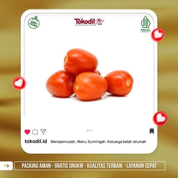 Tomat Sayur
