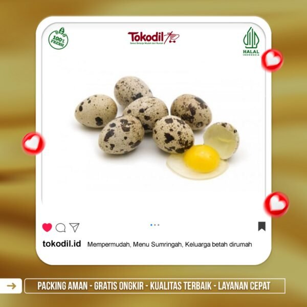 Telur Puyuh
