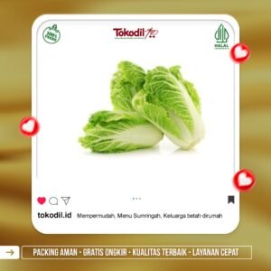 Sawi Putih