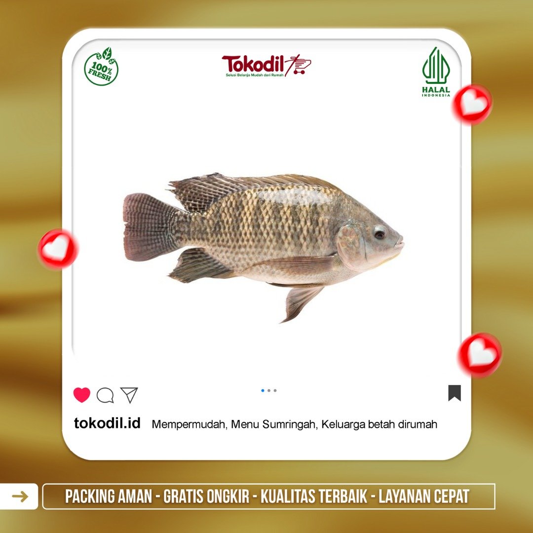 Ikan Nila